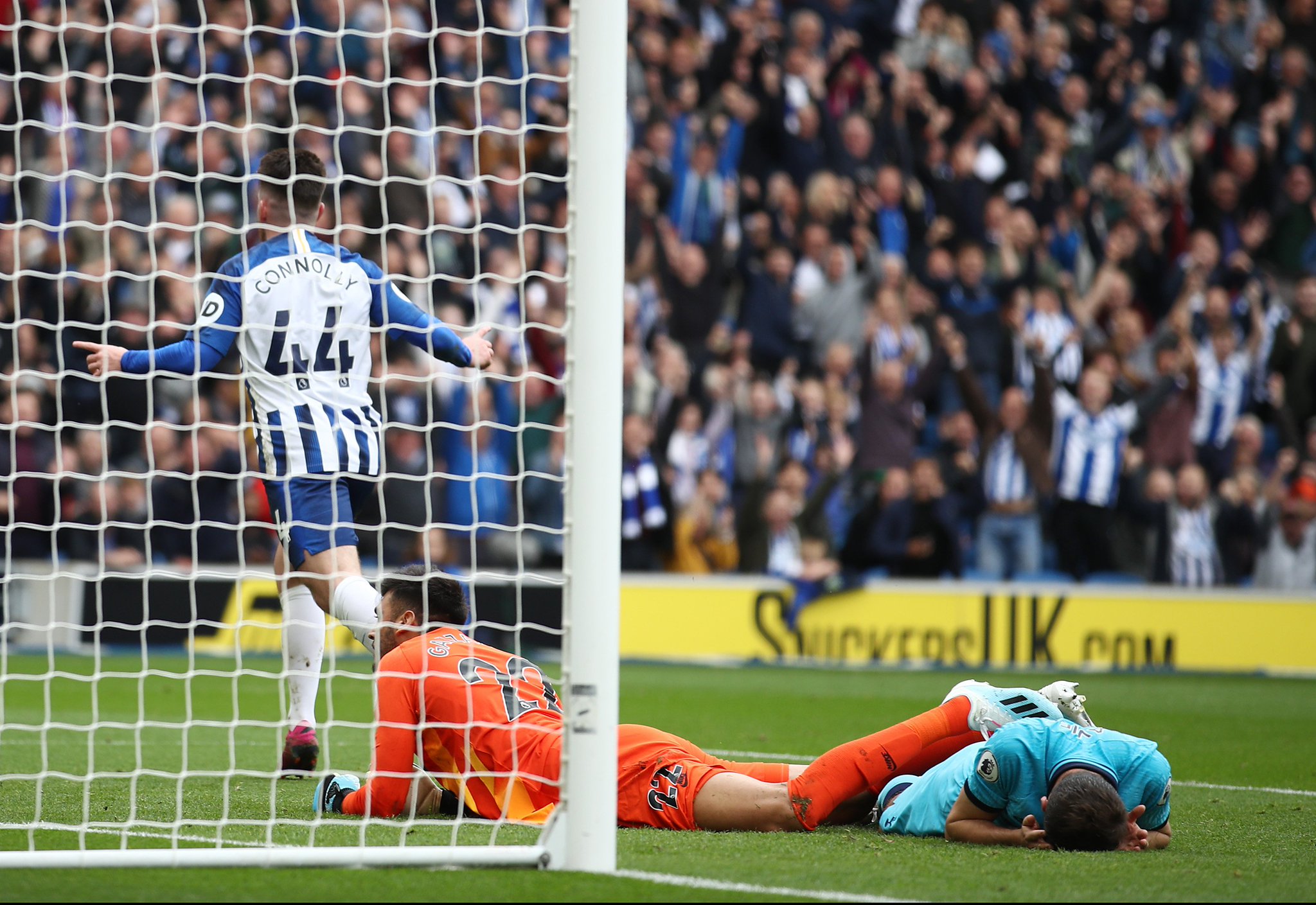 专家指导和 专家指导和